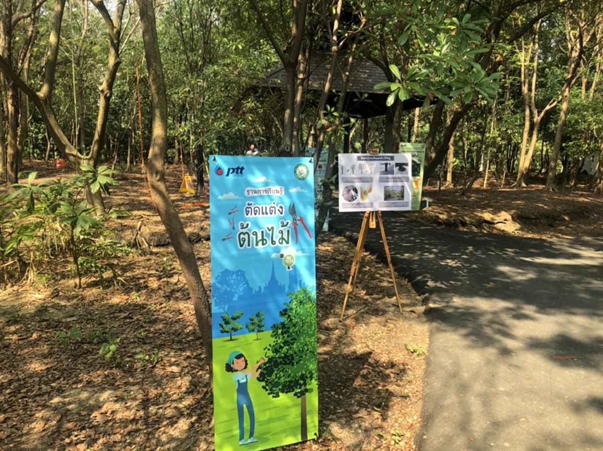 ปตท.ร่วมต่อชีวิตให้ต้นไม้ และสายน้ำของแผ่นดิน “เจ้าพระยา”