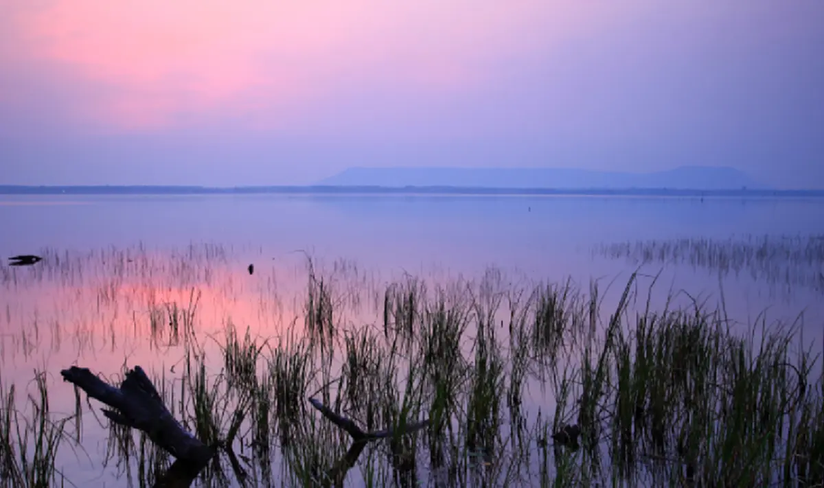 โศกนาฏกรรมแห่งความรัก หนึ่งมนุษย์ หนึ่งพญานาค ตำนานที่เล่าขานกันมา "บึงโขงหลง จังหวัดบึงกาฬ"