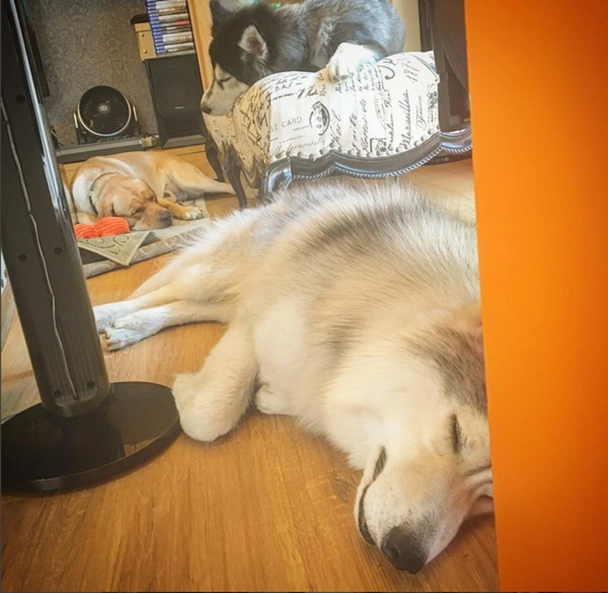 ส่องชัดๆ !! ทุกมุม ของบ้าน  “เมย์ พิชญ์นาฏ”   เรียบหรู ดูแพง สมฐานะตระกูลดัง?? 