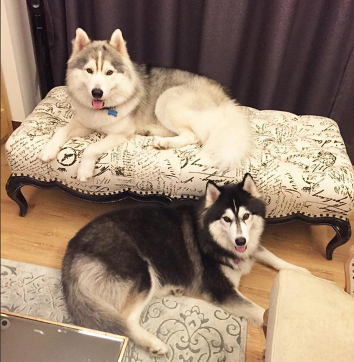 ส่องชัดๆ !! ทุกมุม ของบ้าน  “เมย์ พิชญ์นาฏ”   เรียบหรู ดูแพง สมฐานะตระกูลดัง?? 