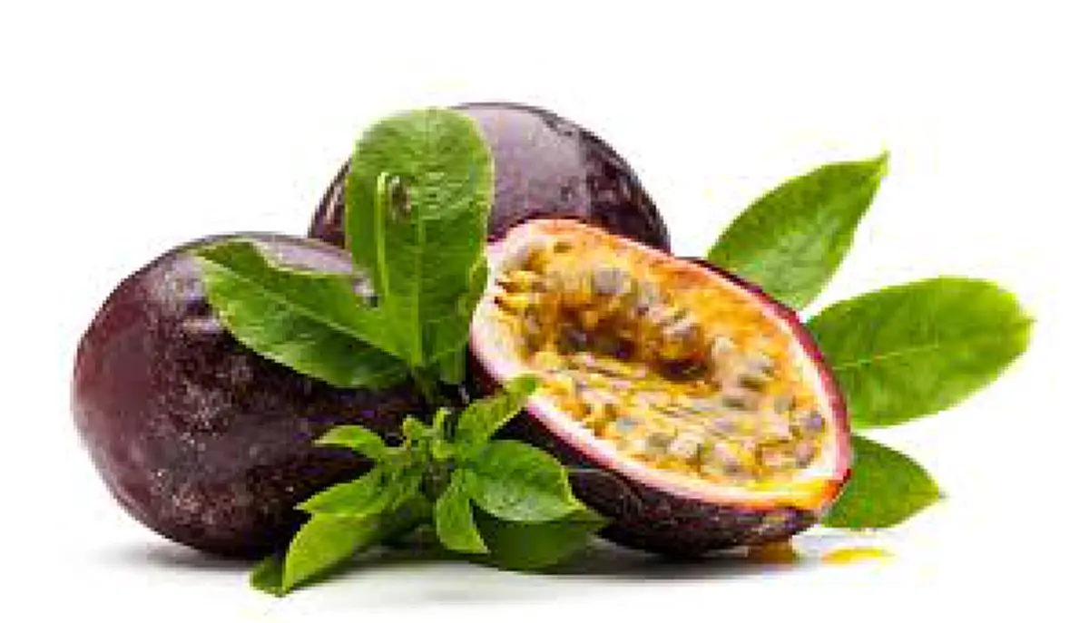 ภาพของ เสาวรส ผลไม้มีคุณประโยชน์