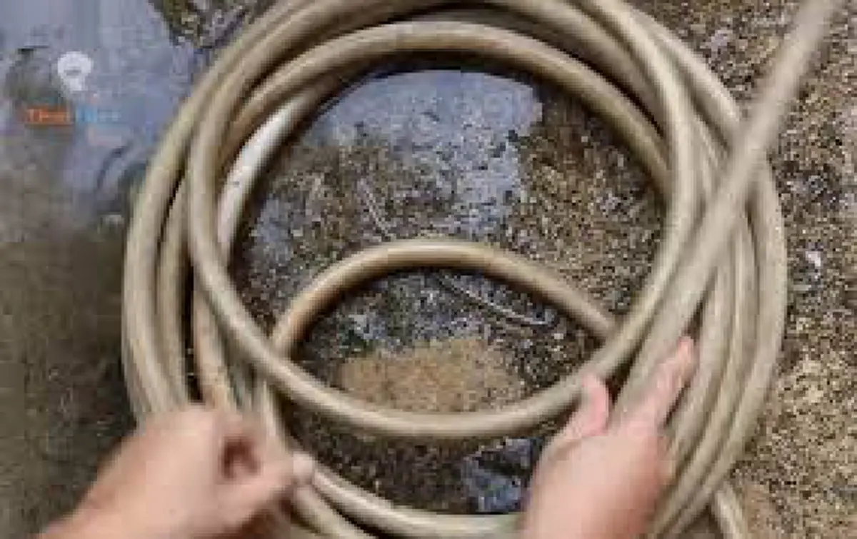 โง่มาตั้งนาน ! เผยวิธีกำจัด "ตะไคร่" ในสายยางเหลือเชื่อแค่ใช้สิ่งนี้....ไม่กี่วินาทีก็สะอาดเหมือนเพิ่งซื้อมาใหม่! (คลิป)