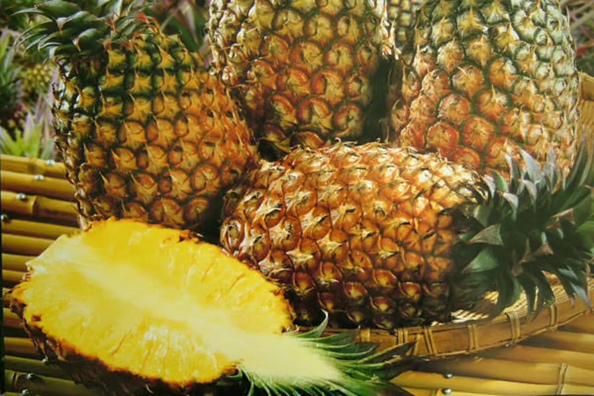 เผยประโยชน์ของ สับปะรด