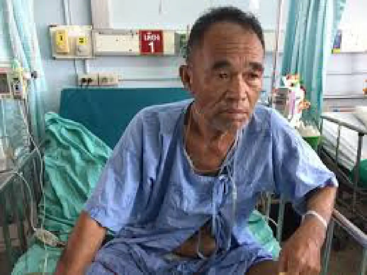 ถึงเวลาช่วยฮีโร่ต้นไม้!! จัดกิจกรรม “เชิดชูคนดีกอดดาบวิชัยให้หายป่วย” ระดมทุนช่วยเหลือดาบวิชัย พร้อมประกาศปลูกต้นไม้เป็นวัฒนธรรม