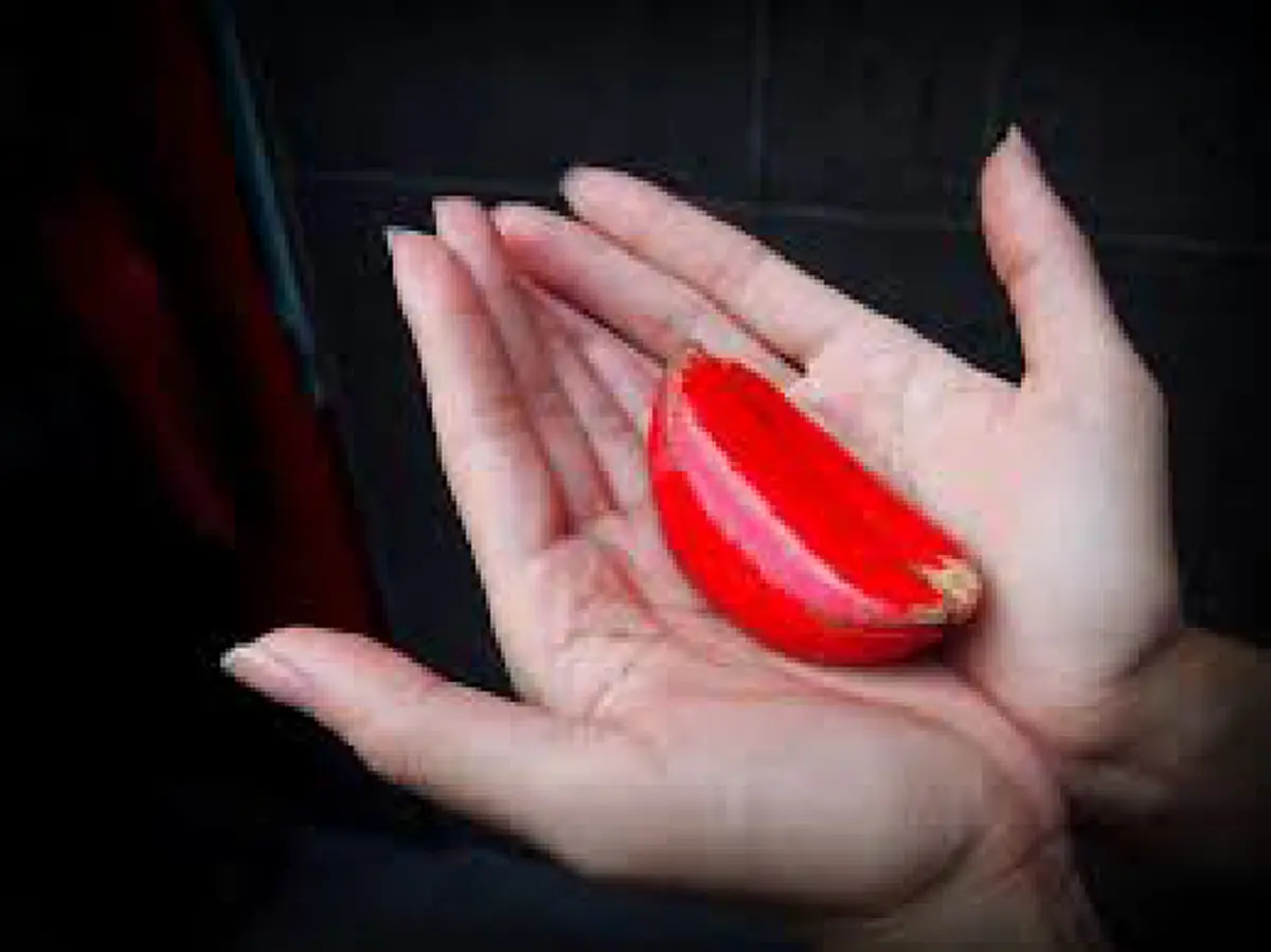 สื่อสารกับเทพเจ้า ด้วยไม้เสี่ยงทาย “เซ้งปวย” ใช้กันมาแต่โบราณ แต่มั่นใจว่าหลายคนยังใช้ผิดๆ อยากมีไว้ใช้เสี่ยงทายที่บ้านให้ทำตามนี้เลย