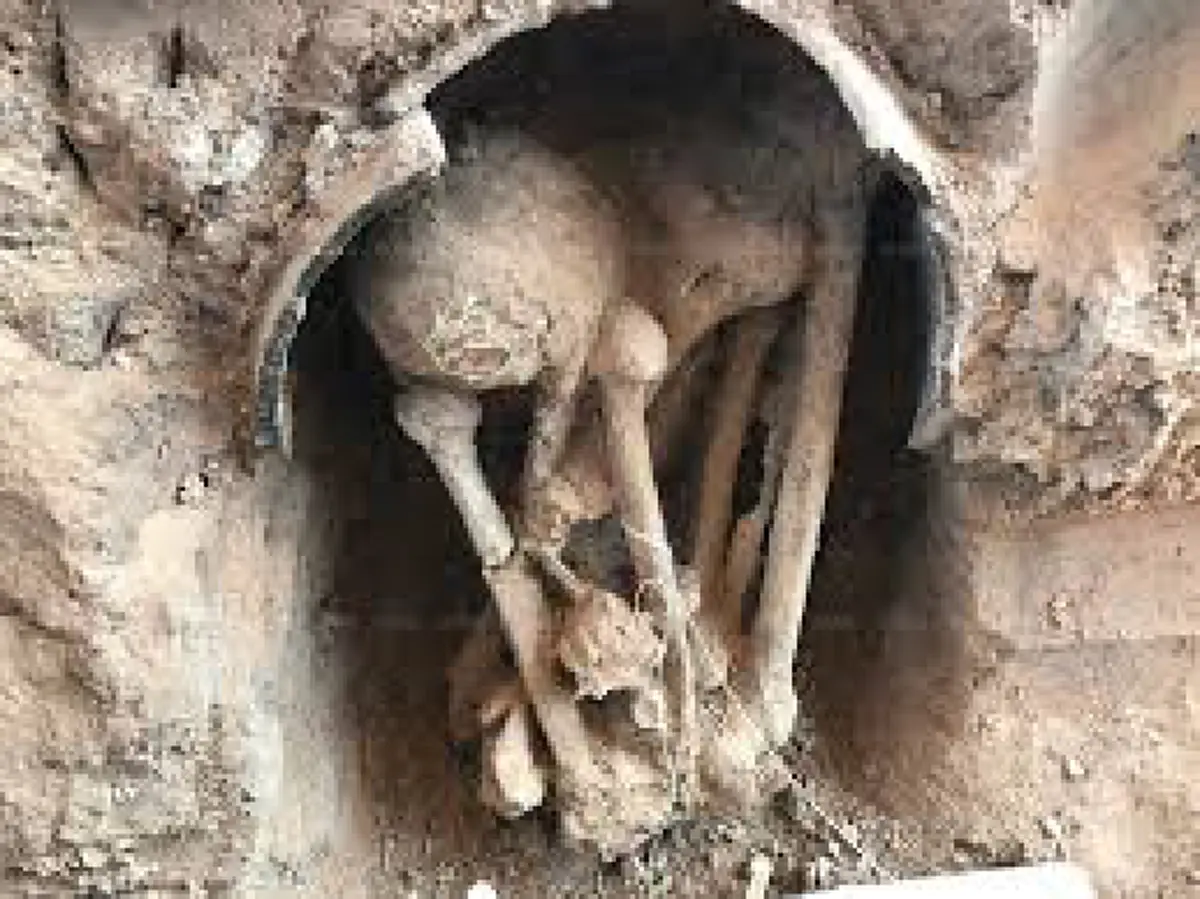 อย่ายึดติด!! เปรตเฝ้ากระดูกลูกเมียถึงห้าร้อยปี ด้วยความอาลัย มาได้สติ สำนึกได้ ด้วยเสียงเทศนา "หลวงปู่มั่น" ที่แว่วเข้ามา..