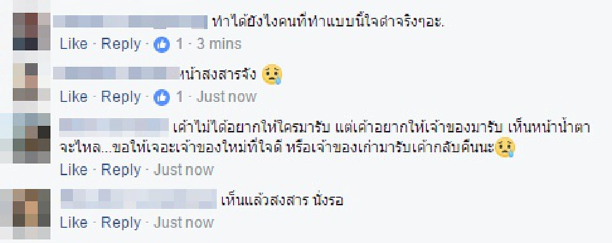 ทำไม..ทิ้งเขาอย่างนี้!! ชาวเน็ตสะเทือนใจเห็นเจ้าตูบยืนเดียวดายหน้าบ้าน ตากแดดตากฝนร่วมเดือน พอเปิดเรื่องเล่าทำน้ำตาซึม...วอนคนช่วยเหลือด่วนๆ