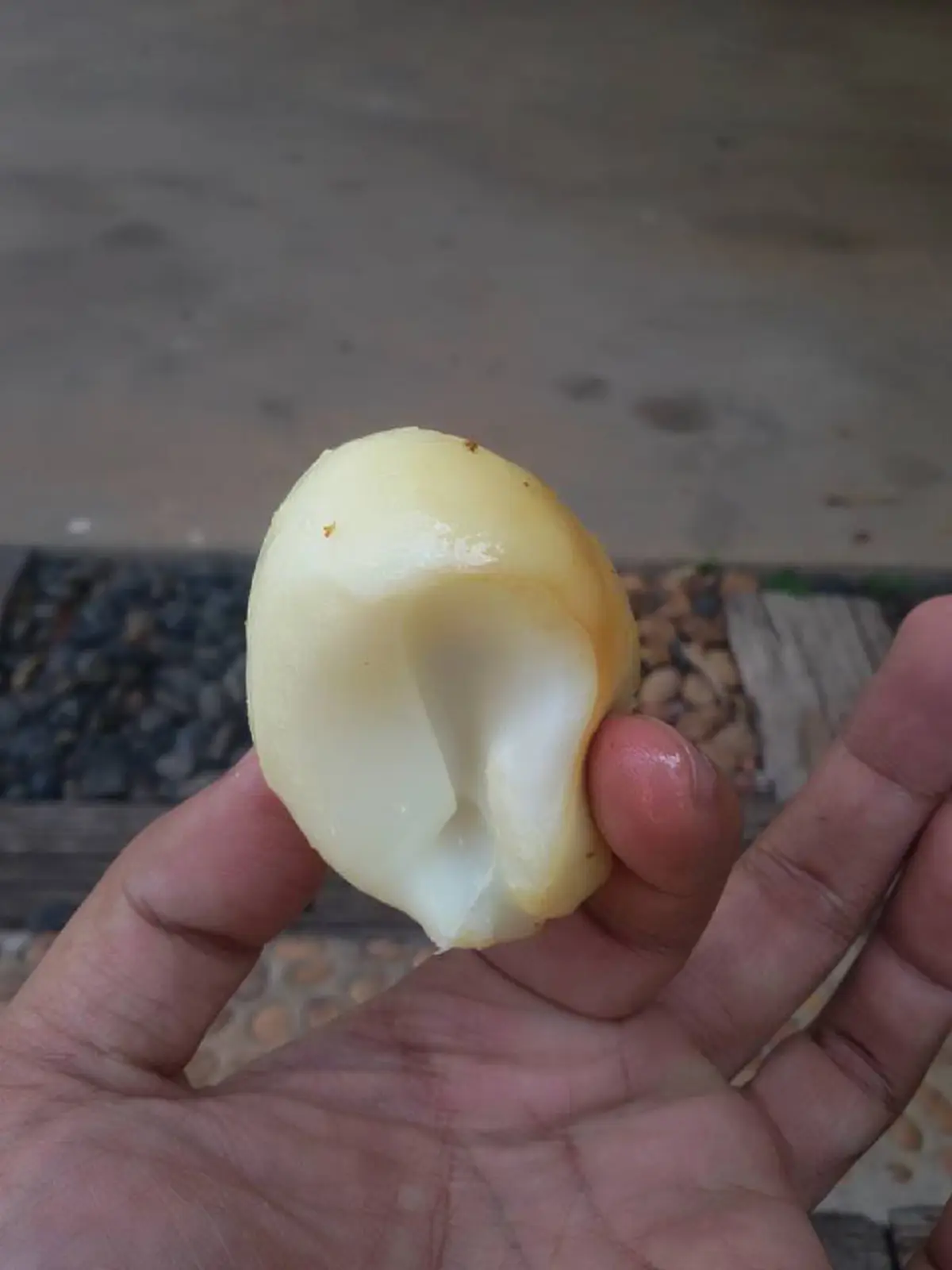 ไม่เชื่อก็ต้องเชื่อ ?!! ใครจะไปคิดว่า "ไข่ไก่" จะสามารถทอดได้ด้วยวิธีนี้อีก ?!! บอกเลยพีคจริงจัง ลองทำแล้วจะอึ้งกับผลลัพธ์ที่เห็น !!(ชมภาพ)