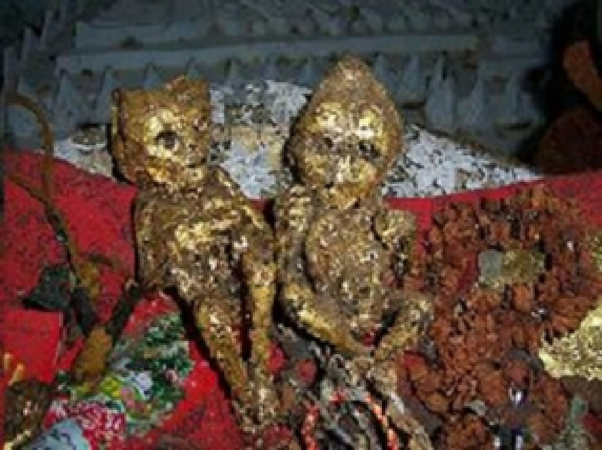 คุณไสย มนต์ดำ!!! สิ่งน่าสะพรึงกลัว อยู่ดีๆเพ้อไร้สติ ไร้เรี่ยวแรง!!! ตรวจร.พ.ไม่เจออะไร?? "พระมหาวัฒน์" เมตตา ใช้น้ำมนต์เพียงแค่ขันเดียว!!!!