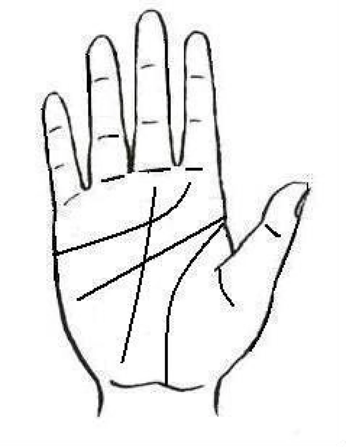 เส้นโชค รูปที่5