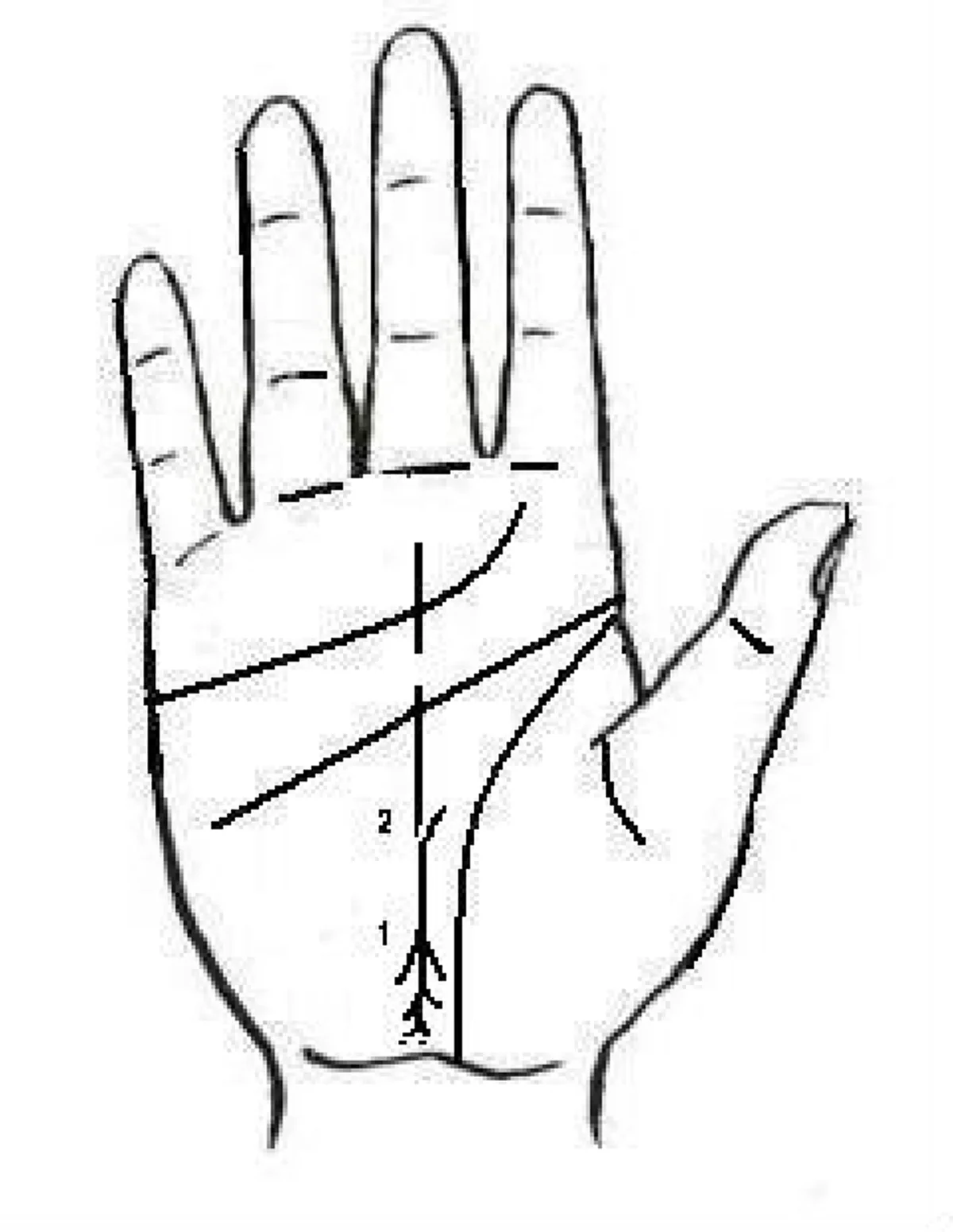 เส้นโชค รูปที่7