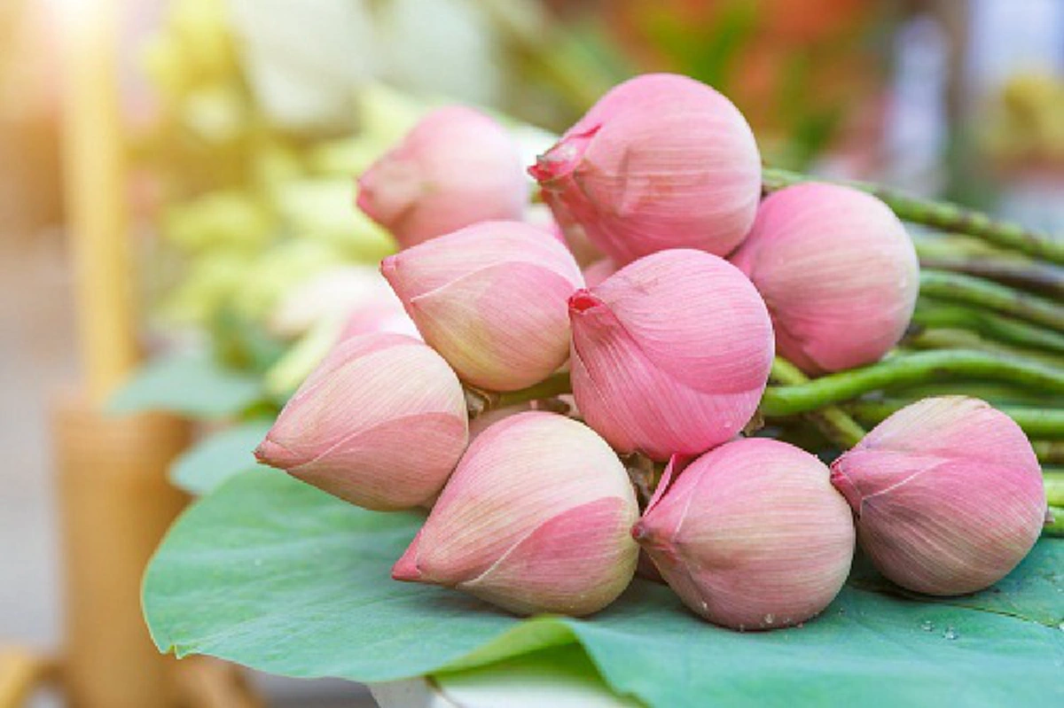 สำรวจดูตัวเอง..ถ้ายังไม่มี รีบทำ " ๙ นิสัยของผู้ที่มีบุญมาก "โอวาทธรรม หลวงตามหาบัว ละโลภ โกรธ หลง..ชีวิตดีขึ้นเร็ววันแน่นอน..