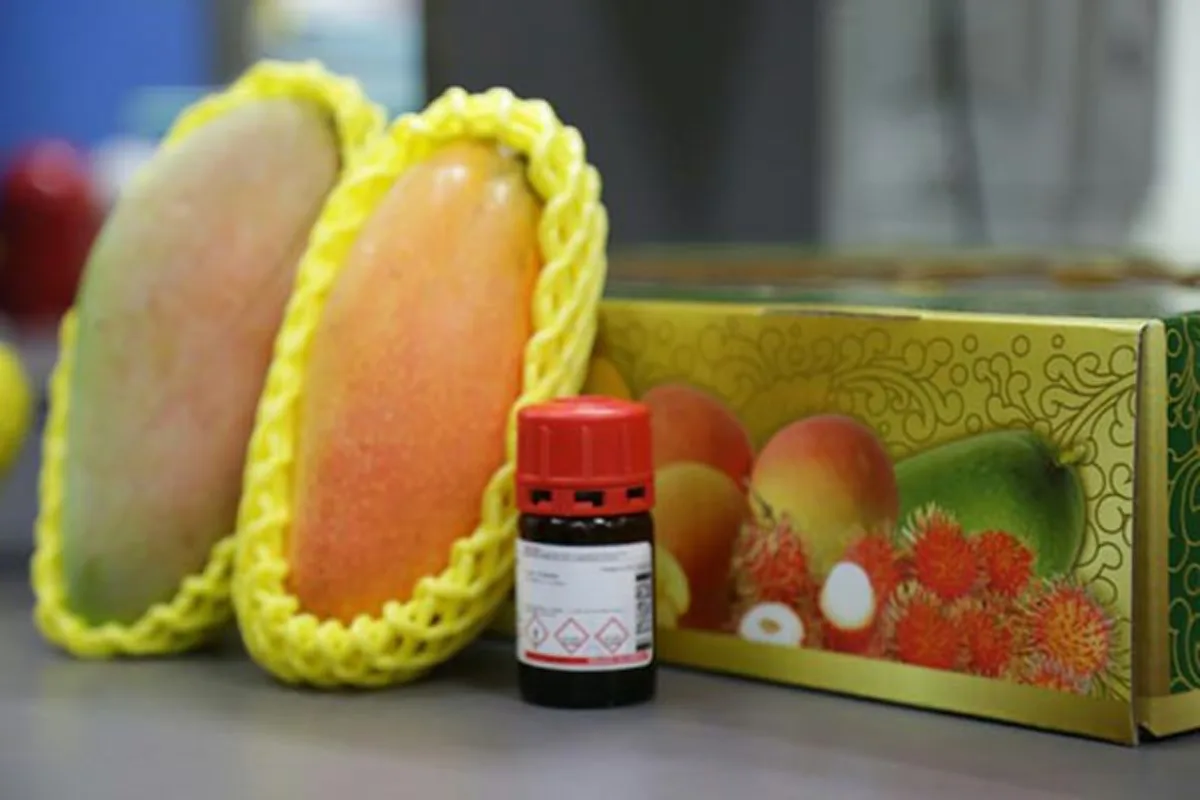 รู้หรือไม่.....มะม่วงมหาชนก เป็นผลไม้ที่ต้านมะเร็ง ยิ่งกิน ยิ่งดี แถมยังได้รับชื่อพระราชทานจากในหลวง ร.๙ (รายละเอียด)