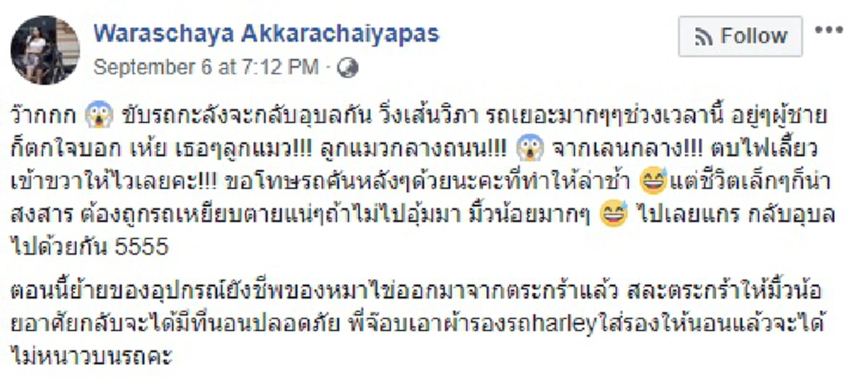 สาธุๆ น้ำใจงาม หนุ่มสาวขับรถกลับตจว.เจอแมวน้อยนอนขดริมถ.วิภาฯ ไม่เลยผ่านพากลับดูแล ล่าสุดบอกเลยพลิกชีวิตจริงๆ