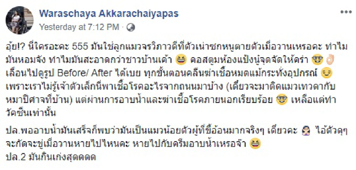 สาธุๆ น้ำใจงาม หนุ่มสาวขับรถกลับตจว.เจอแมวน้อยนอนขดริมถ.วิภาฯ ไม่เลยผ่านพากลับดูแล ล่าสุดบอกเลยพลิกชีวิตจริงๆ
