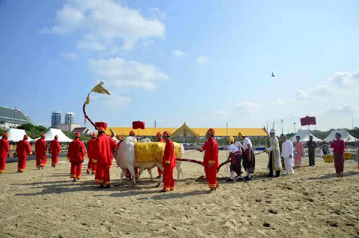 คนไทยทุกคนต้องรู้??ประวัติความเป็นมา พระราชพิธีมงคลจรดพนังคัลแรกนาขวัญหรือวันพืชมงคล เริ่มต้นเมื่อไหร่ มายังไง และสำคัญอย่างไร (รายละเอียด)