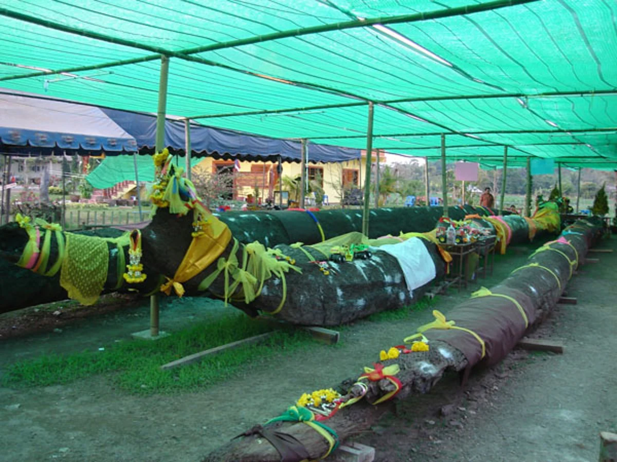 เปิดตำนาน"นางไม้" มีจริง!! มักคอยช่วยเหลือผู้ที่นับถือ!! บางแห่ง...ชายหนุ่มต้องแต่งงานกับนางไม้!! แต่ถ้าไม่ทำ..จะเกิดอะไรขึ้น??