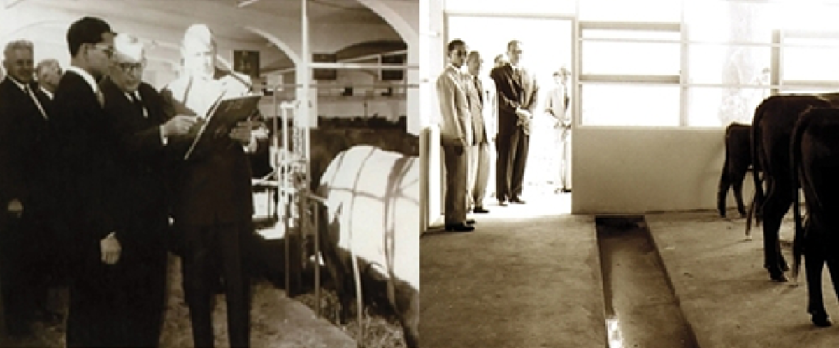 ซาบซึ้งในพระมหากรุณาธิคุณ!! เผย ๕ ยี่ห้อ นมโครงการพระราชดำริ ที่ ในหลวง ร.๙ พระบิดาแห่งการโคนมไทย ทรงพระราชทานให้ลูกหลานชาวไทย!!!