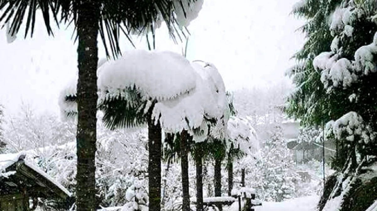 สุดช็อก!! หิมะถล่มพม่าหนักสุดรอบ 50ปี ขาวโพลนปกคลุมทั่วทั้งเมือง!!?? (ชมภาพ)