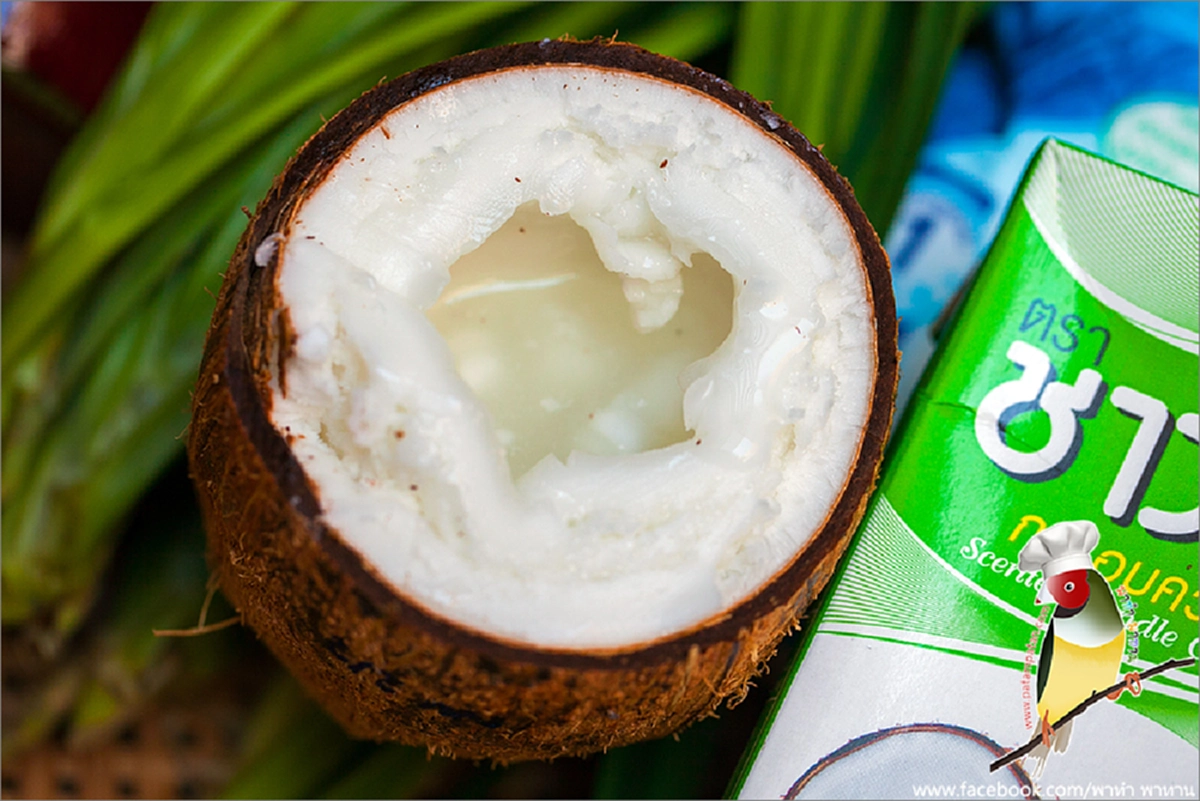 แชร์เทคนิค!!! วิธีบังคับมะพร้าวธรรมดาให้เป็น "มะพร้าวกะทิ" ทำเองง่ายๆสร้างรายได้เป็นกอบเป็นกำ (รายละเอียด)