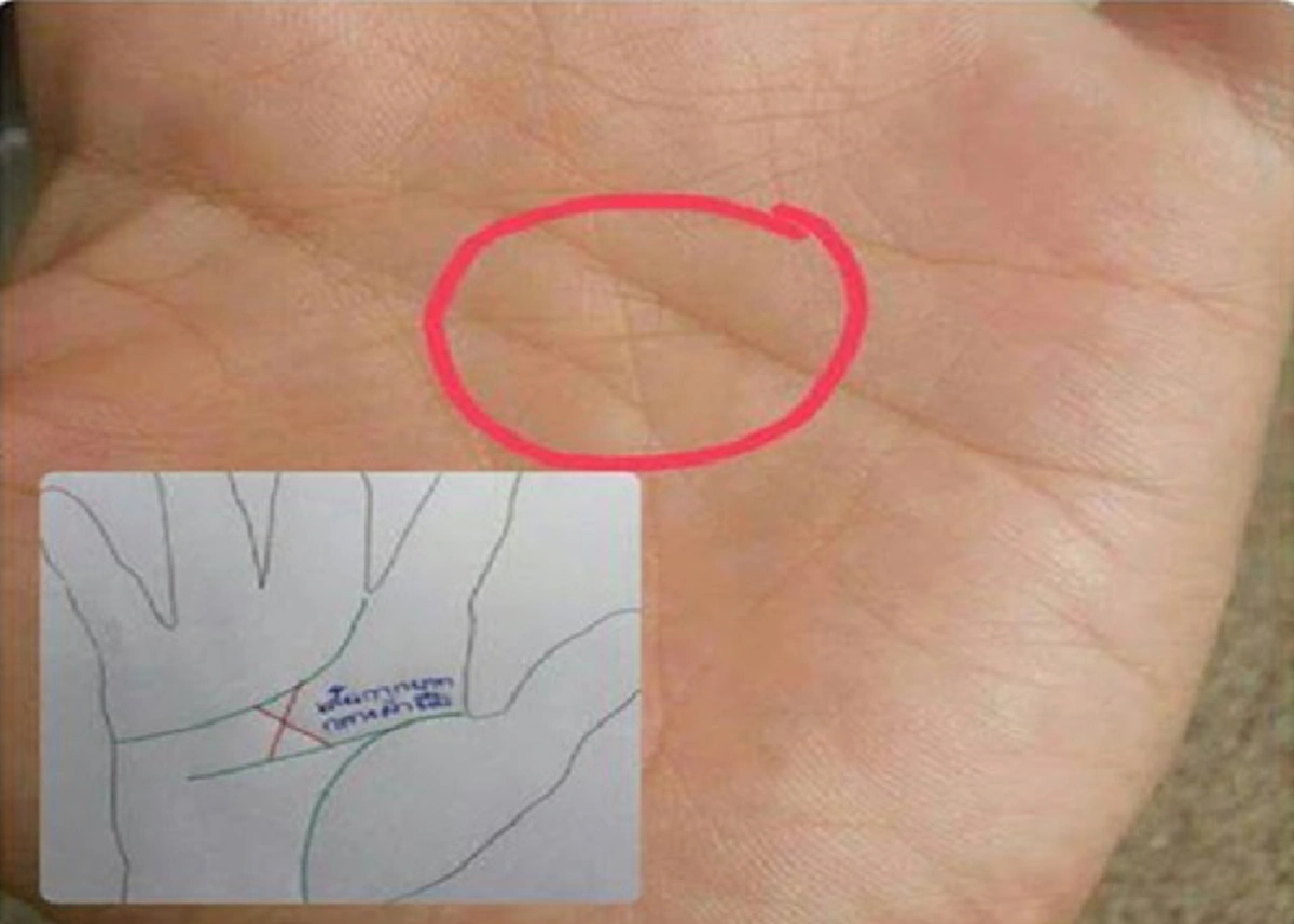 เส้นลายมือ