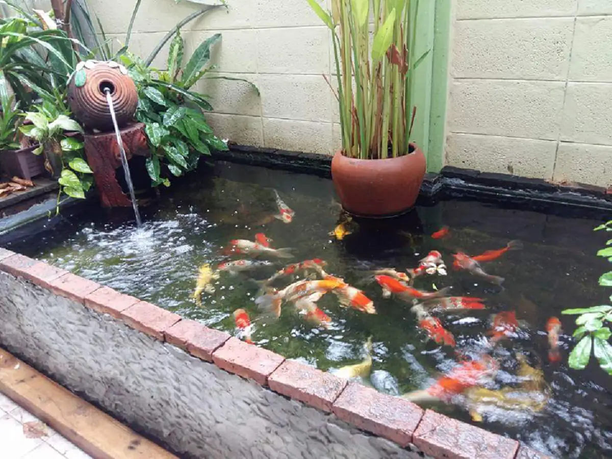 รีบหามาเลี้ยงเสริมดวง!! "สัตว์เลี้ยง"มงคล..ช่วยเสริมดวงของคนทั้ง12 ราศี..เช็คกันเลยว่า.."สัตว์ชนิดใด"เหมาะกับราศีของคุณ??!! (รายละเอียด)