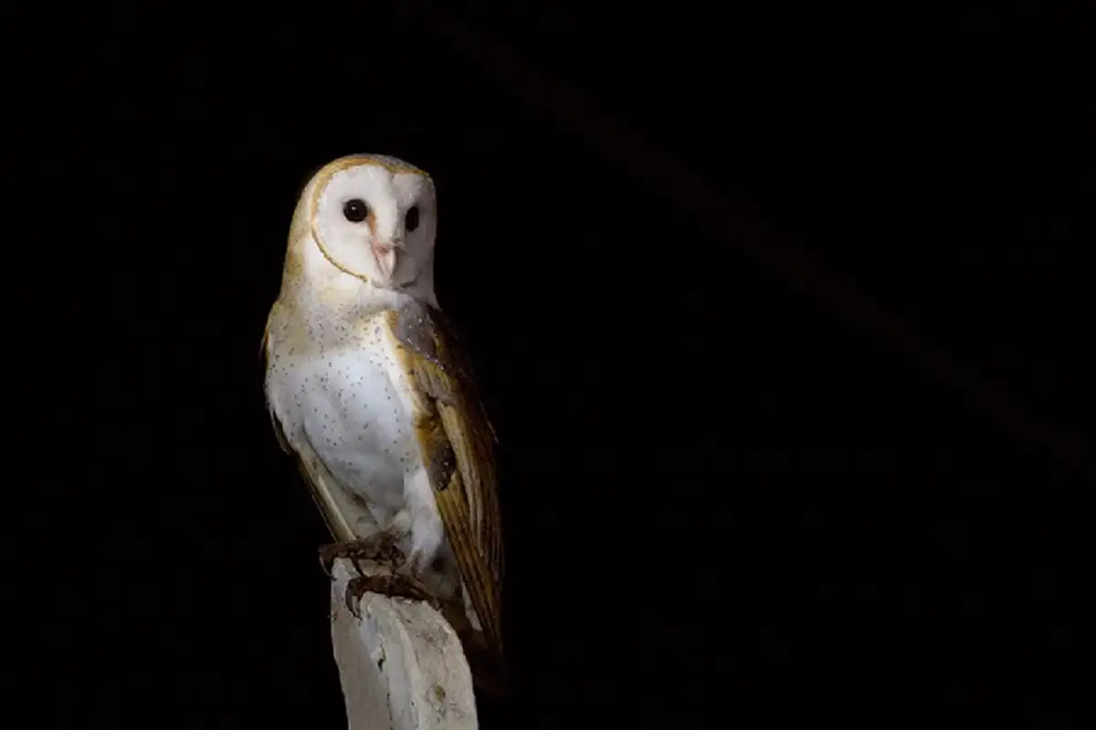 ไม่เชื่อ อย่าลบหลู่!! โบราณเตือนไว้!! "23 ลางบอกเหตุร้าย" ระวัง.. อย่าฝ่าฝืน เดี๋ยวจะเจอในสิ่งที่คาดไม่ถึง!!