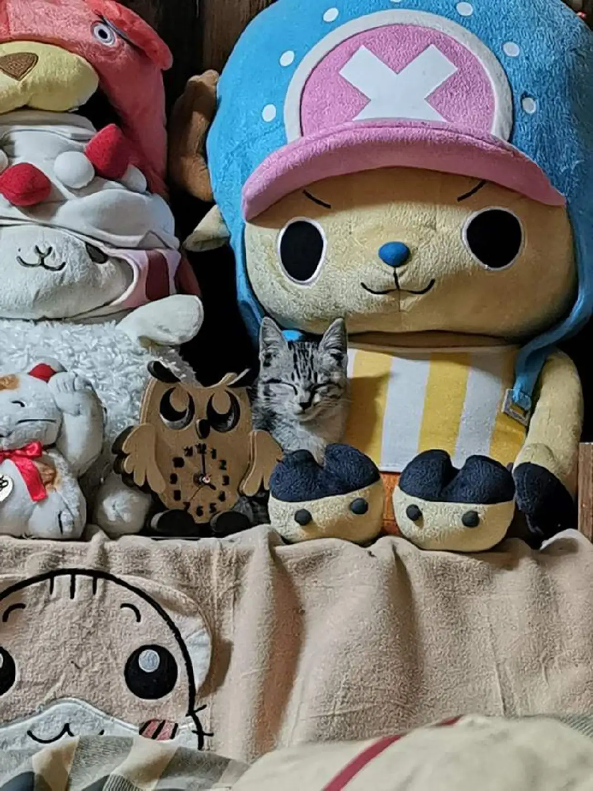 สาวเห็นแมวจร ตัดสินใจขอตกเป็นทาส งานนี้เหนื่อยคิดแผนจับกันวุ่นแต่คุ้ม