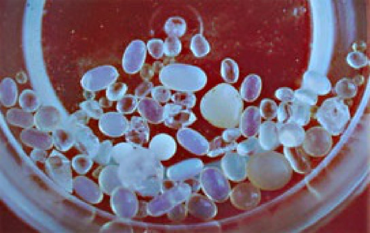 ปาฏิหาริย์อัฐิพระอรหันต์!! บูรพาจารย์แห่งพระวิปัสสนากรรมฐาน "หลวงปู่มั่น  ภูริทัตโต" มรณภาพ เกิดเหตุอัศจรรย์ "อัฐิกลายเป็นพระธาตุ" !!