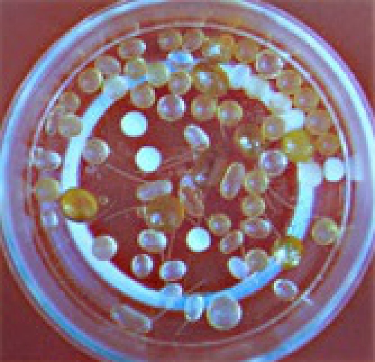 ปาฏิหาริย์อัฐิพระอรหันต์!! บูรพาจารย์แห่งพระวิปัสสนากรรมฐาน "หลวงปู่มั่น  ภูริทัตโต" มรณภาพ เกิดเหตุอัศจรรย์ "อัฐิกลายเป็นพระธาตุ" !!