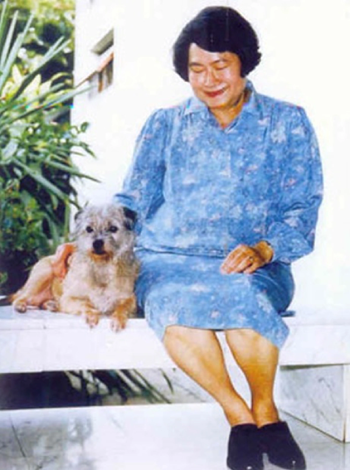 เปิดวังเลอดิส!! แนะนำตัว "ซูเปอร์สตาร์ 4 ขา" หลายสิบชีวิต...ของสมเด็จพระพี่นางฯ ที่คนรักสุนัขรู้จักแล้วต้องประทับใจ!!