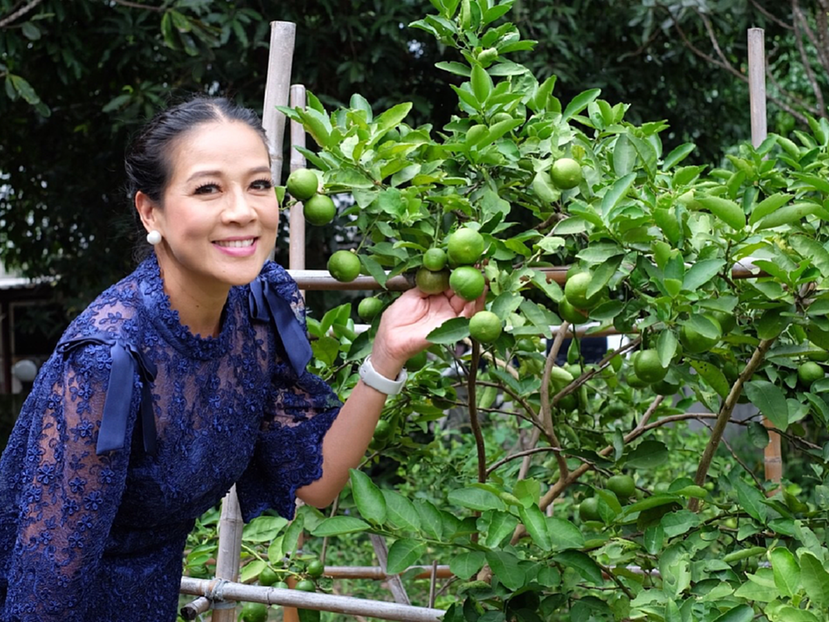 ส่องชีวิตแสนเรียบง่าย! "กบ ปภัสรา" กลับบ้านเกิด จ.สุพรรณบุรี สวมเสื้อคอกระเช้านั่งกลางทุ่งนา ใช้ชีวิตติดดินสุดๆ!