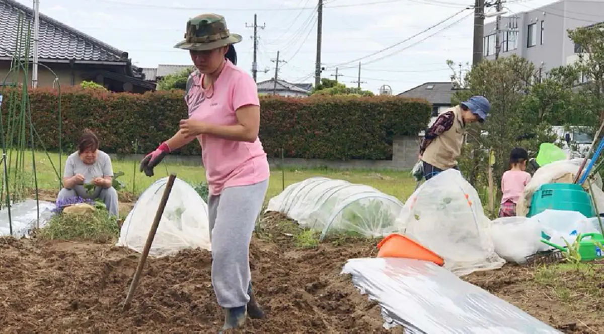 สาวไทยสุดภูมิใจใช้ชีวิตที่ญี่ปุ่น ลงมือปลูกผักกินเอง แถมขายให้เพื่อนบ้าน จนมีรายได้เสริมเลี้ยงลูก