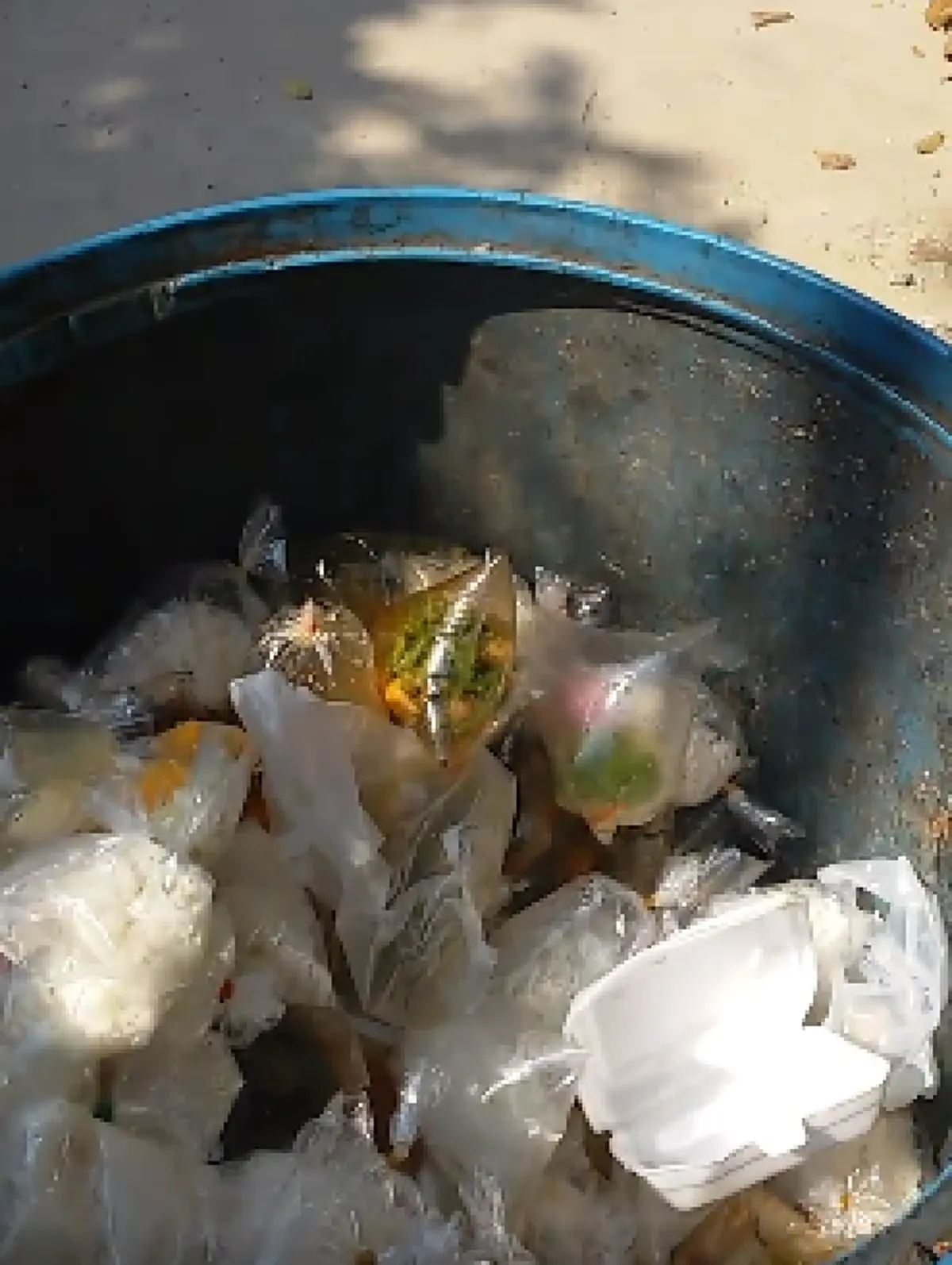 เห็นคลิปแล้วหดหู่ใจ !! พบข้าวที่ญาติโยมนำมาถวายพระสงฆ์ถูกทิ้งลงถังขยะเกลื่อน ในวันมาฆบูชา (มีคลิป)