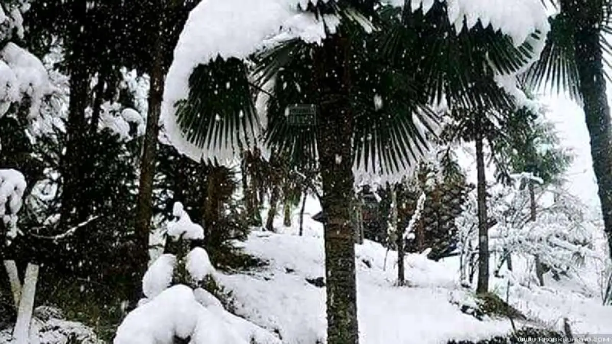 สุดช็อก!! หิมะถล่มพม่าหนักสุดรอบ 50ปี ขาวโพลนปกคลุมทั่วทั้งเมือง!!?? (ชมภาพ)