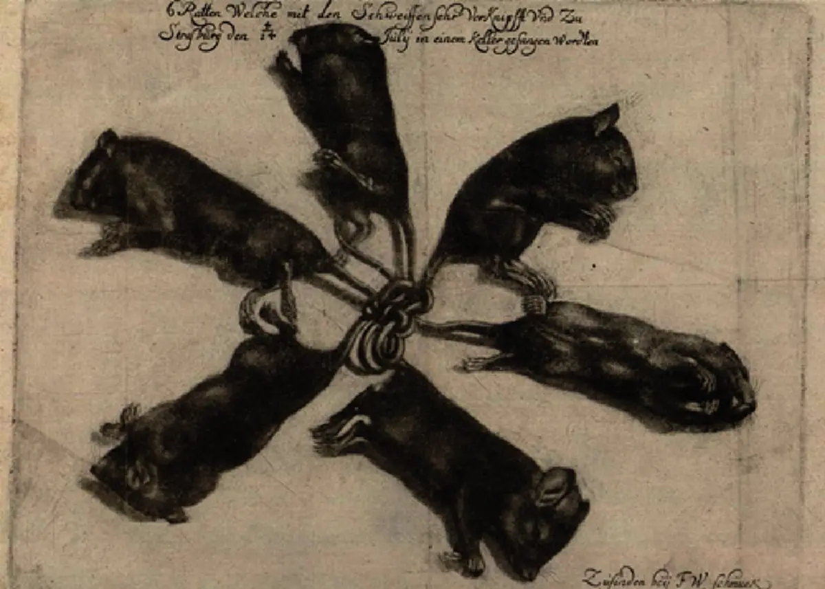 เปิดตำนาน พญามุสิก...สัญญาณเตือนของอาเพศ !!! ปรากฏการณ์ ที่ถูกบันทึกไว้ทั่วทุกมุมโลก และยังหาคำตอบไม่ได้จนปัจจุบัน !!!