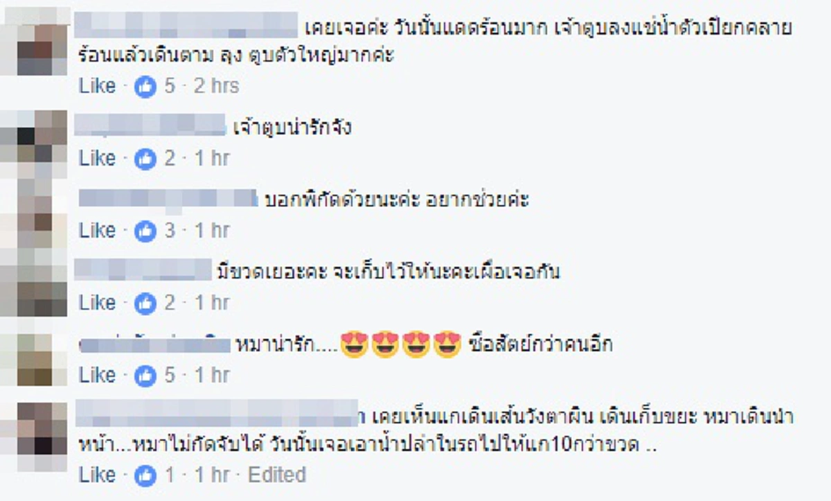 บางคนต้องอายหมาบ้างแหละ!! ภาพประทับใจลุงเดินเก็บขวดขายมีเจ้าตูบคอยตามไม่ห่างตัว ดูสิดูแสนรู้ช่วยเหลืองานทุกอย่าง โซเชียลชมเปราะ...กตัญญูสุดๆ