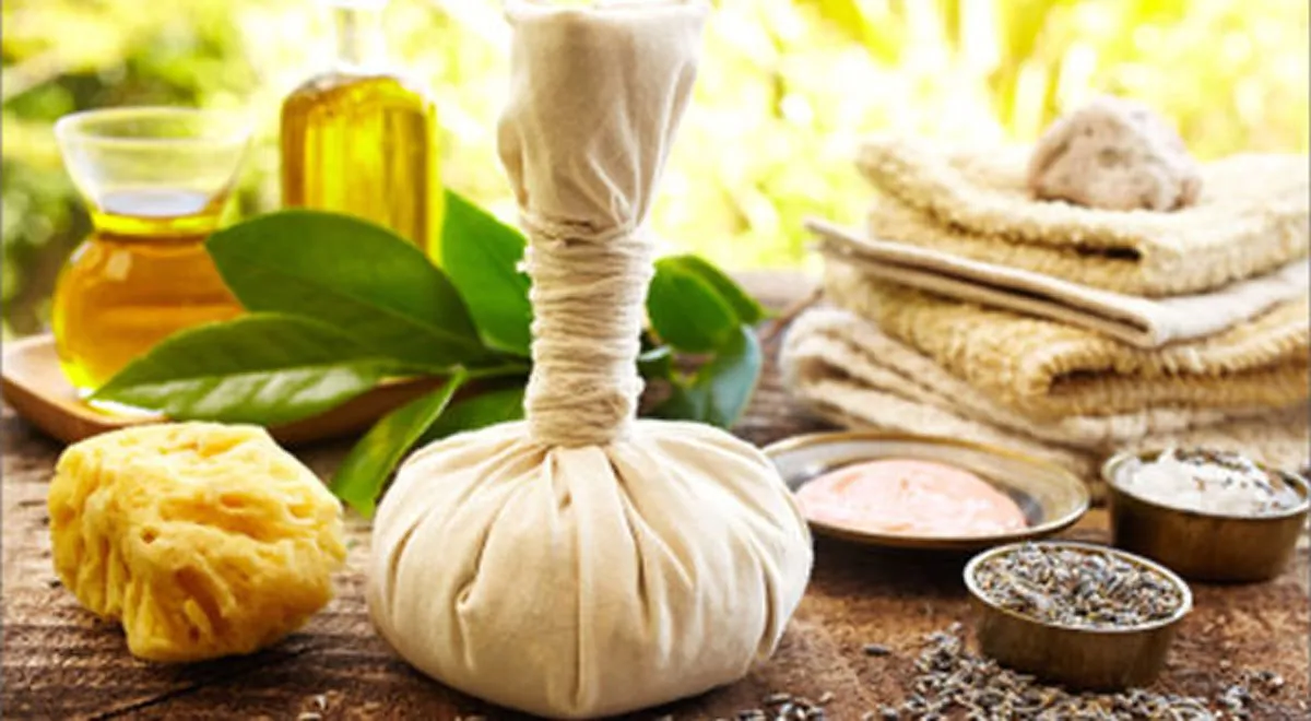 #ขอเเชร์นะครับ...มีประโยชน์มากมาย!! "6สมุนไพรไทย "พื้นบ้าน...หาง่าย!! มากด้วยคุณค่า!!..ช่วยรักษาเบาหวานเเละความดัน(รายละเอียด)