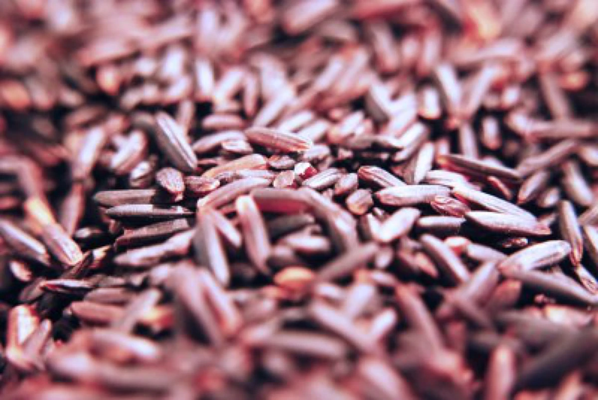 ถูกมองข้ามมาตั้งนาน !?!? ประโยชน์ "ข้าวก่ำ" ประโยชน์ช่วยยับยั้งมะเร็ง..เเละสรรพคุณอื่นๆอีกเพียบ (รายละเอียด)