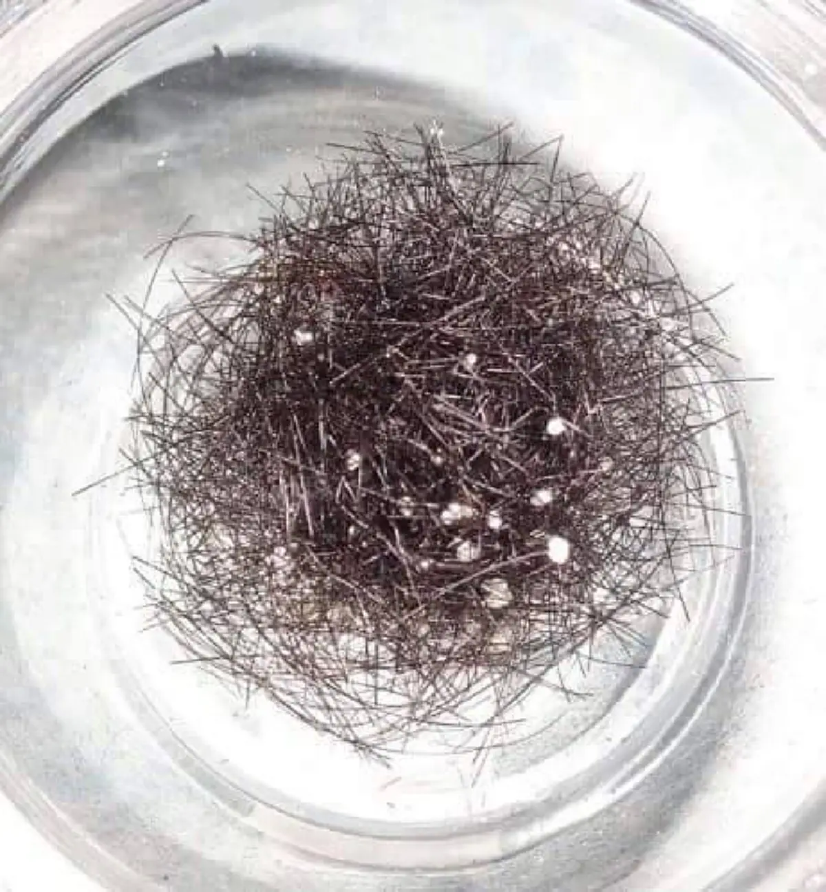 ปาฏิหาริย์ในพระพุทธศาสนา เส้นเกศาแปรเป็นพระธาตุ!! จิตอันทรงพลัง ฟอกกิเลสได้ก็ฟอกสังขารได้เช่นกัน บูชาพระธาตุพระอริยะมงคลยิ่งแก่ตน