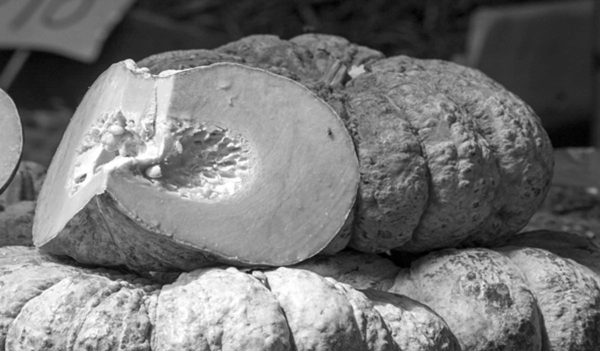 ไม่อยากป่วยเป็นโรคร้ายต้องดู!!! 5 ผักพื้นบ้านไทยมีฤทธิ์ต่อต้านการเกิดมะเร็ง กินทุกวันห่างไกลโรคแน่นอน รู้แล้วรีบแชร์ด่วน