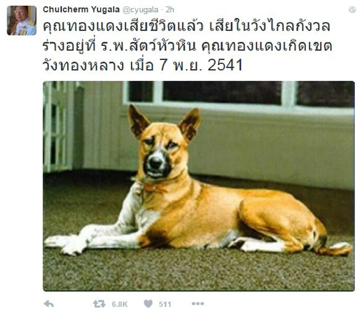 เผยประวัติ!! คุณทองแดง สุนัขทรงเลี้ยงแสนรู้ของพ่อหลวงรัชกาลที่๙ (รายละเอียด)