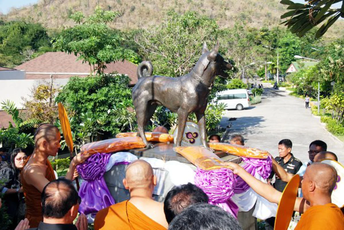 เผยประวัติ!! "คุณทองแดง" สุนัขทรงเลี้ยงแสนรู้ของพ่อหลวง "รัชกาลที่9" (รายละเอียด)