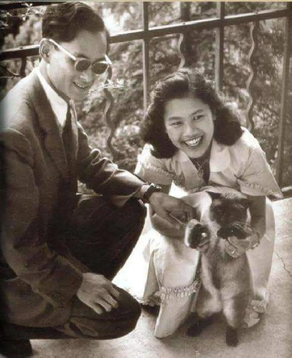 8 สิงหาคม วันแมวโลก...พาไปรู้จักกับ "คุณติโต" แมวทรงเลี้ยงพันธุ์วิเชียรมาศ ของในหลวง ร.9 เมื่อครั้งประทับที่ตำหนักเมืองโลซาน สวิสเซอร์แลนด์