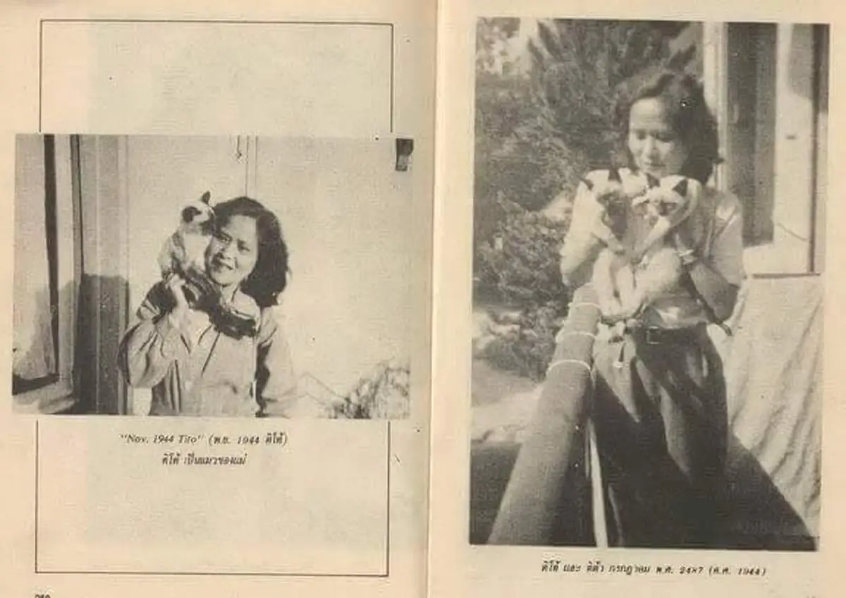 8 สิงหาคม วันแมวโลก...พาไปรู้จักกับ "คุณติโต" แมวทรงเลี้ยงพันธุ์วิเชียรมาศ ของในหลวง ร.9 เมื่อครั้งประทับที่ตำหนักเมืองโลซาน สวิสเซอร์แลนด์