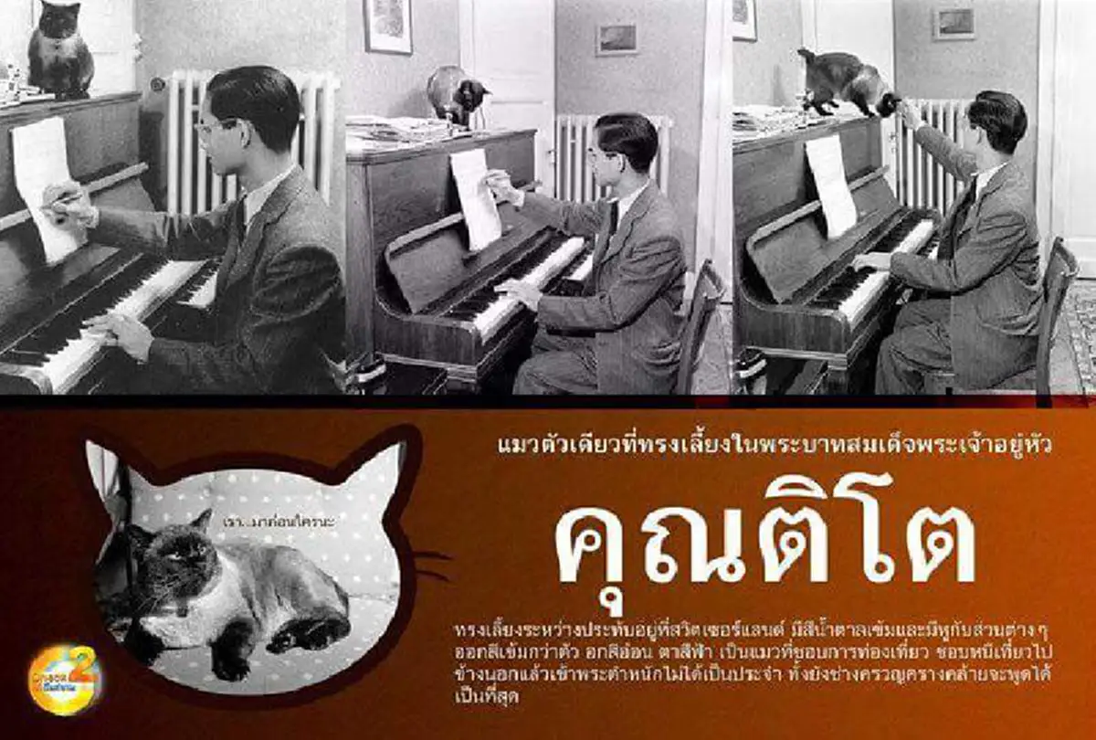 8 สิงหาคม วันแมวโลก...พาไปรู้จักกับ "คุณติโต" แมวทรงเลี้ยงพันธุ์วิเชียรมาศ ของในหลวง ร.9 เมื่อครั้งประทับที่ตำหนักเมืองโลซาน สวิสเซอร์แลนด์