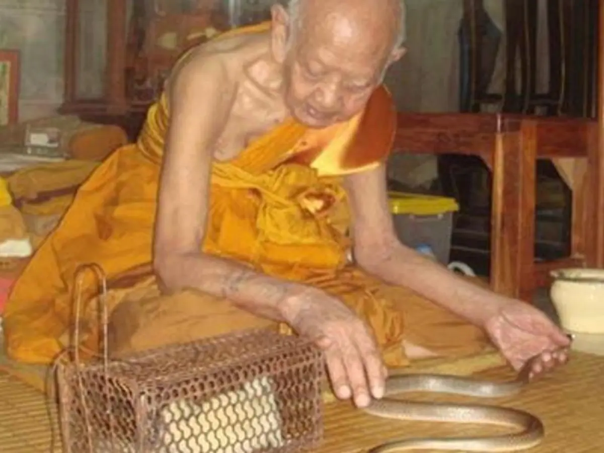 ท่านว่าดี๑๐๘ ประการ ตัวคาถาแต่ละบทนั้นมีความสำคัญ..พระคาถาหัวใจ " หลวงปู่หงษ์ "  ขอพร เทพ พรหม เทวดา เทพเจ้า..ได้สารพัด