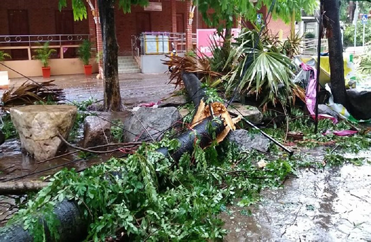 สุดสะพรึง!! อาถรรพ์คำชะโนด เล่นงาน 2 แม่-ลูก ถึงขึ้นชะตาขาดคาวัด แถมทิ้งคำพูดสุดหลอนก่อนตาย -หลวงปู่แนะครอบครัวขอขมาด่วน!!