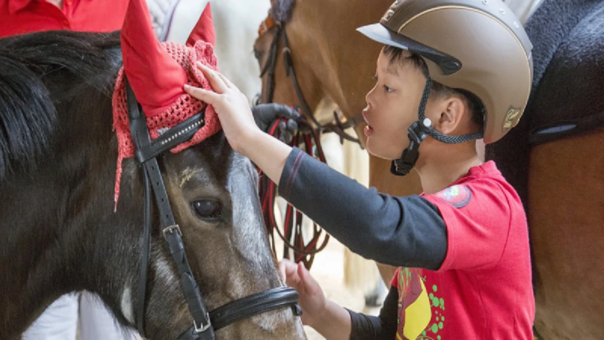 สุดปลาบปลื้มยิ่ง!!"สมเด็จพระเจ้าอยู่หัว"พระราชทานพระรูปคู่กับ"พระองค์ที"ในพระอริยาบถต่างๆเนื่องในวันคล้ายวันประสูติพระราชโอรส๒๙เม.ย.๒๕๖๐