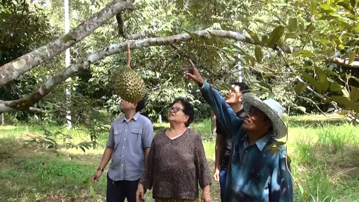 ขายแทบไม่ทัน!! หนุ่มปริญญาโท ผันตัวเองมาทำสวน "ทุเรียนพวงมณี" สานต่อพ่อแม่ ขายผ่านสื่อออนไลน์ ทำเงินเพิ่มขึ้นกว่า 2 เท่า!? (มีคลิป)